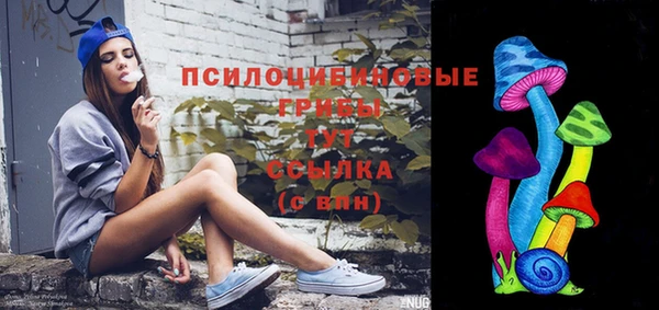 гашик Абинск