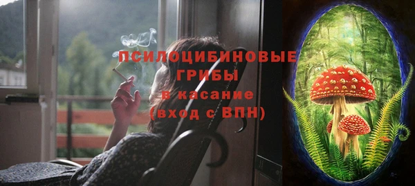 молекула духа Алексин
