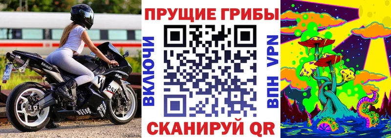 Галлюциногенные грибы прущие грибы  Арсеньев 