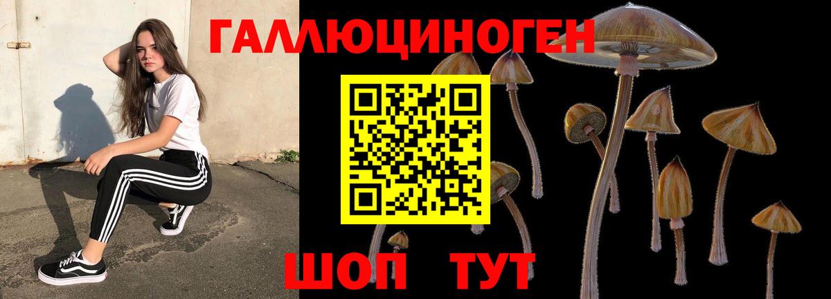 Арсеньев  Галлюциногенные грибы Psilocybine cubensis  Галлюциногенные грибы Psilocybe  Вход с VPN 